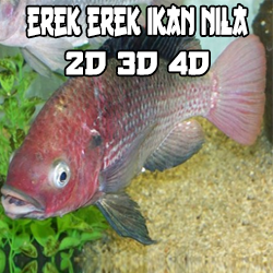 Erek Erek Ikan Nila